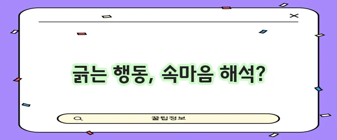 강아지 바닥 긁는 행동 그 언어 이제 이해해야 합니다