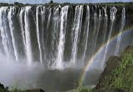 ISFP 유형 특징 분석