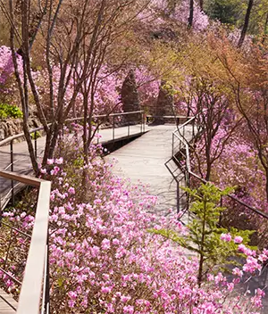 화담숲 테마별 사진