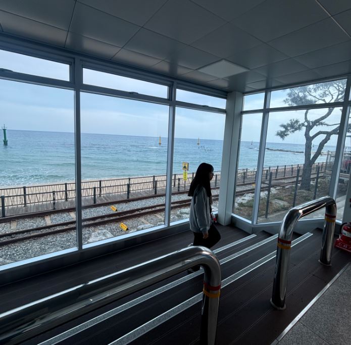 정동진 레일바이크 예약 시간 방법 요금 주차 후기 강릉여행