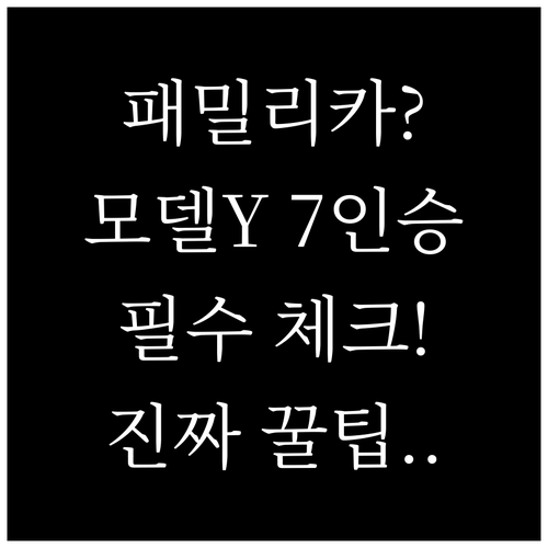 패밀리카 고민중이라면 모델Y 7인승 ..
