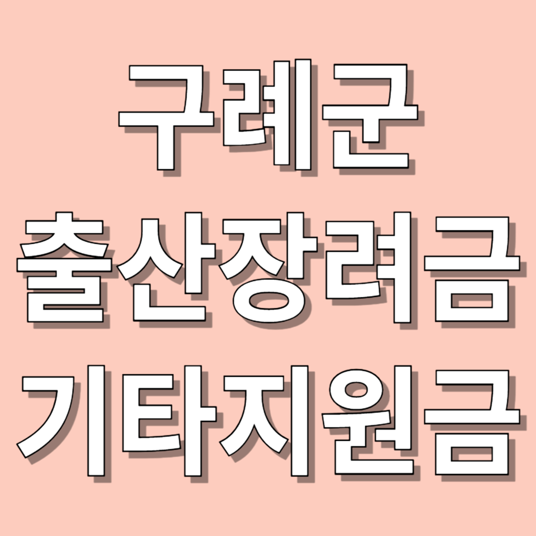 구례군 출산장려금