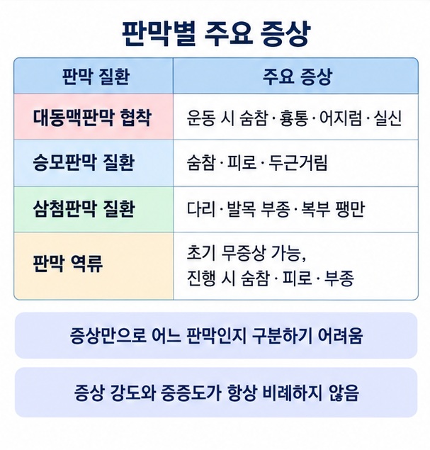 대동맥판막 승모판막 삼첨판막과 판막 협착 역류에서 나타날 수 있는 증상 차이를 보여주는 이미지