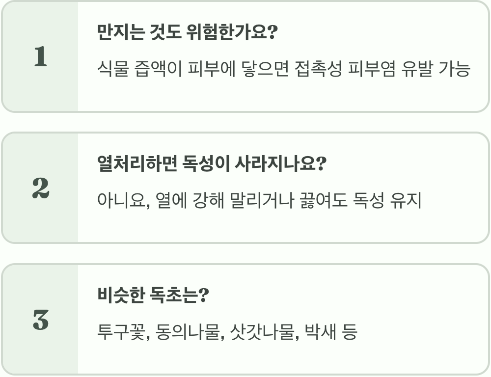피뿌리풀 독성, 얼마나 위험할까? (사람, 반려동물 주의)