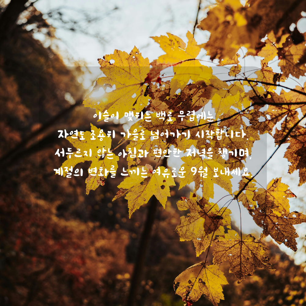 9월 백로 인사말 - 선선한 아침과 깊어지는 가을