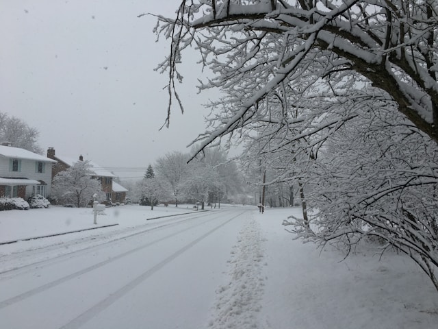 습설 건설 차이점과 폭설 피해 예방 필수 상식