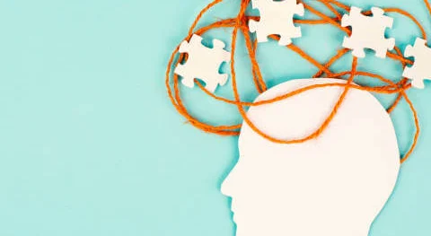 반려동물 행동교정사 자격증