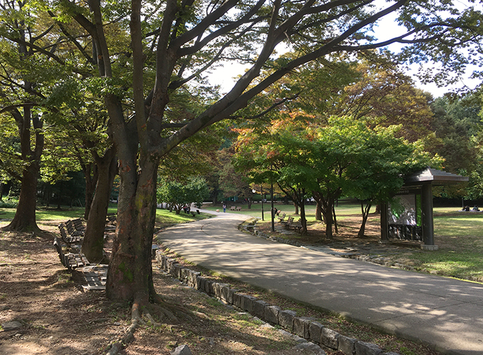 올림픽공원-풍경25