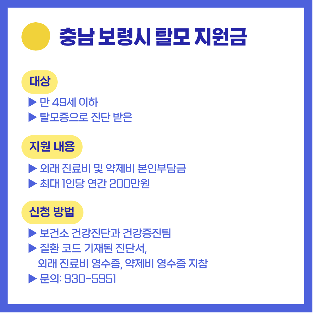 충남 보령시 탈모 지원금