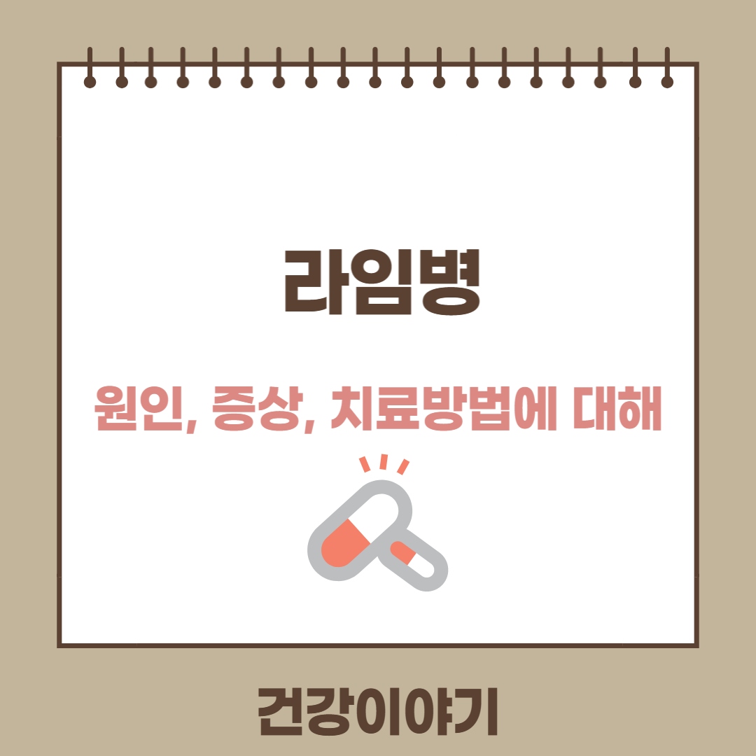 라임병에 대해 알아보기