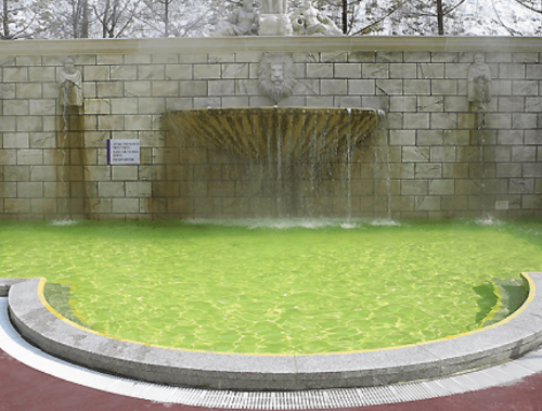 하이원리조트 워터파크 패키지 실외 노천탕