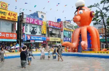 보령 머드축제_4