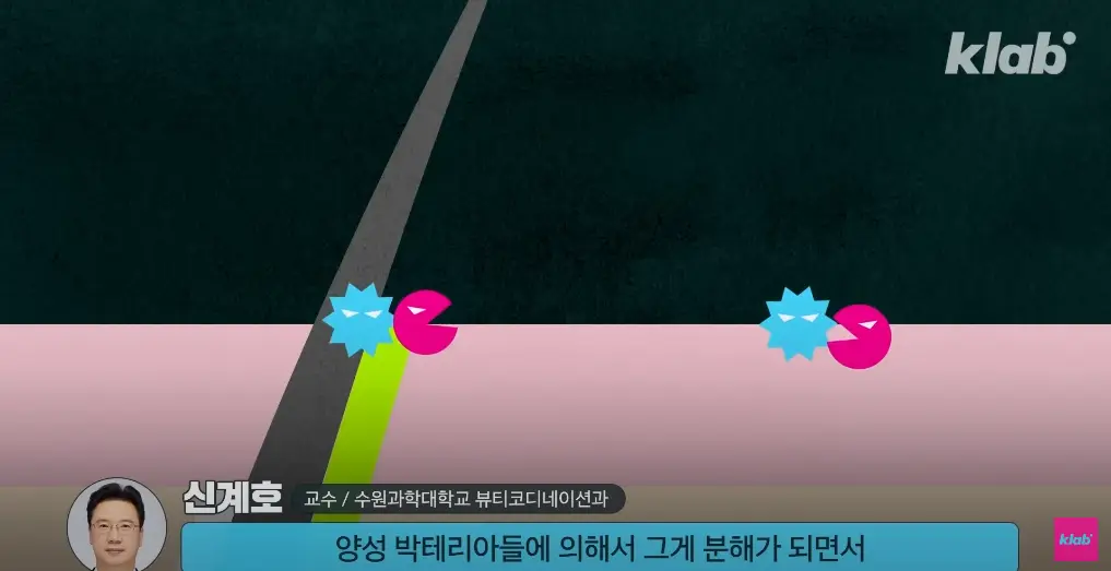 땀-박테리아에의한-분해