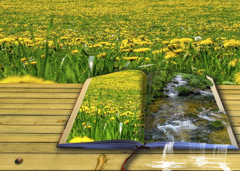 책속에 풍경을 담은 이미지
