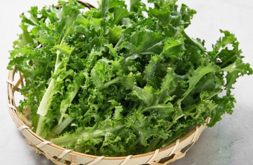 치커리 영양 정보