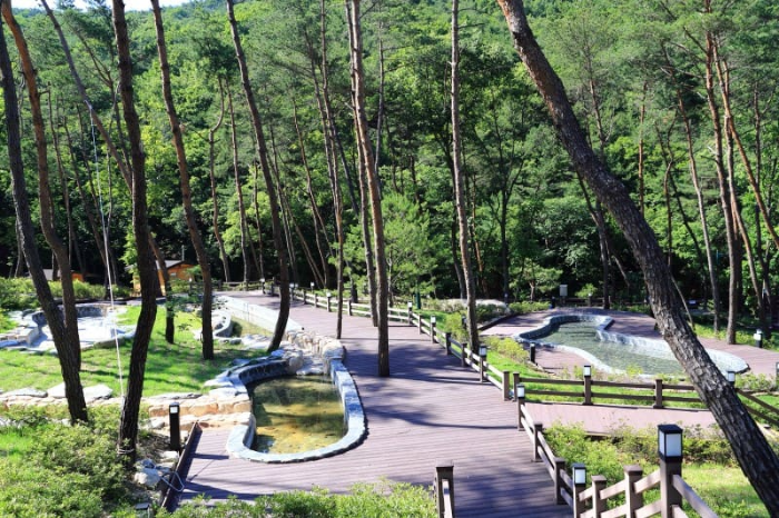 속리산 숲체험휴양마을