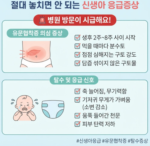 신생아분수토원인