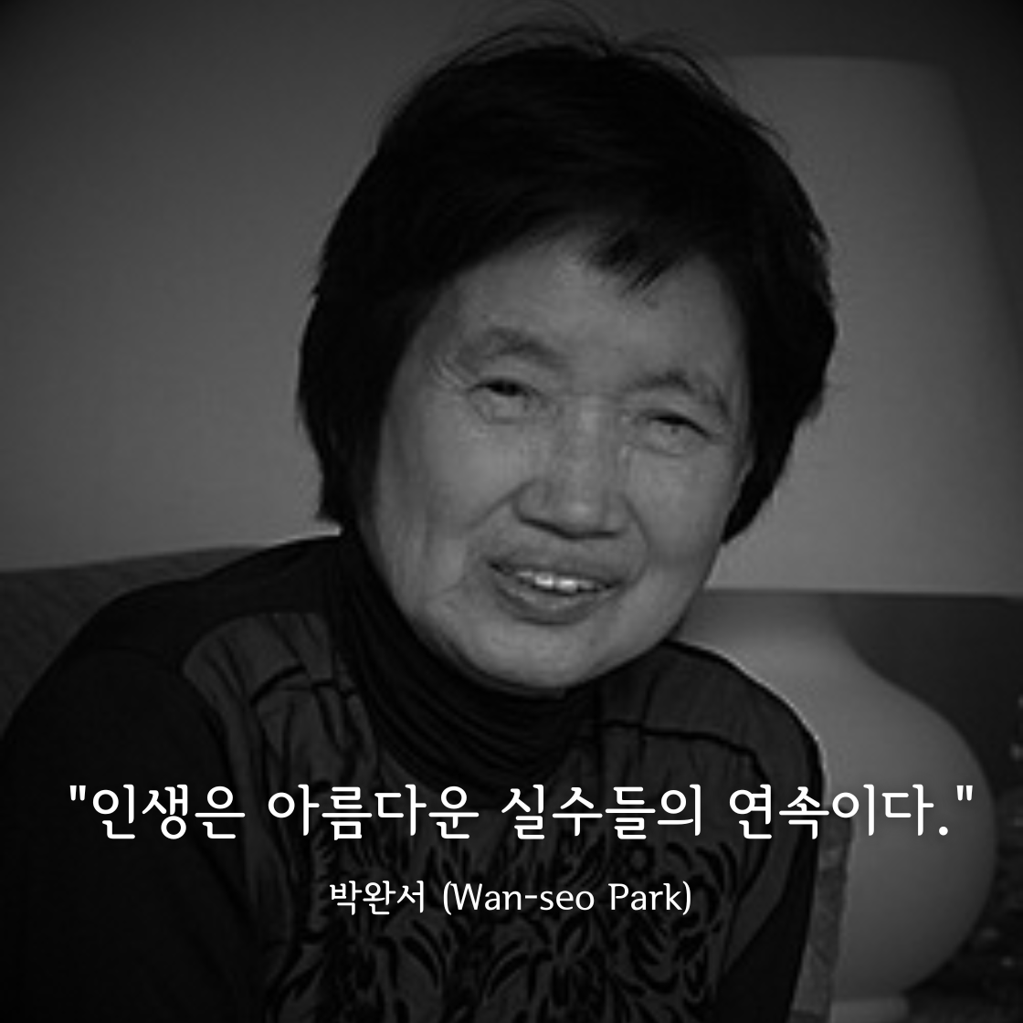 박완서 (Wan-seo Park)