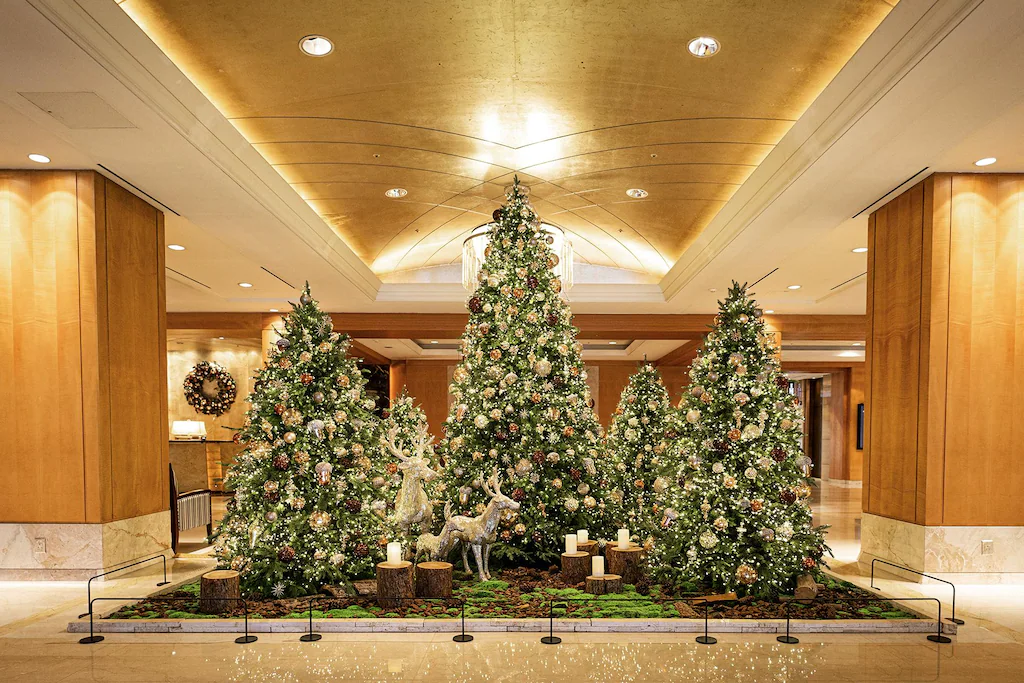 롯데호텔 서울 & 롯데 이그제큐티브 타워 호캉스 프로모션 kkday 할인쿠폰