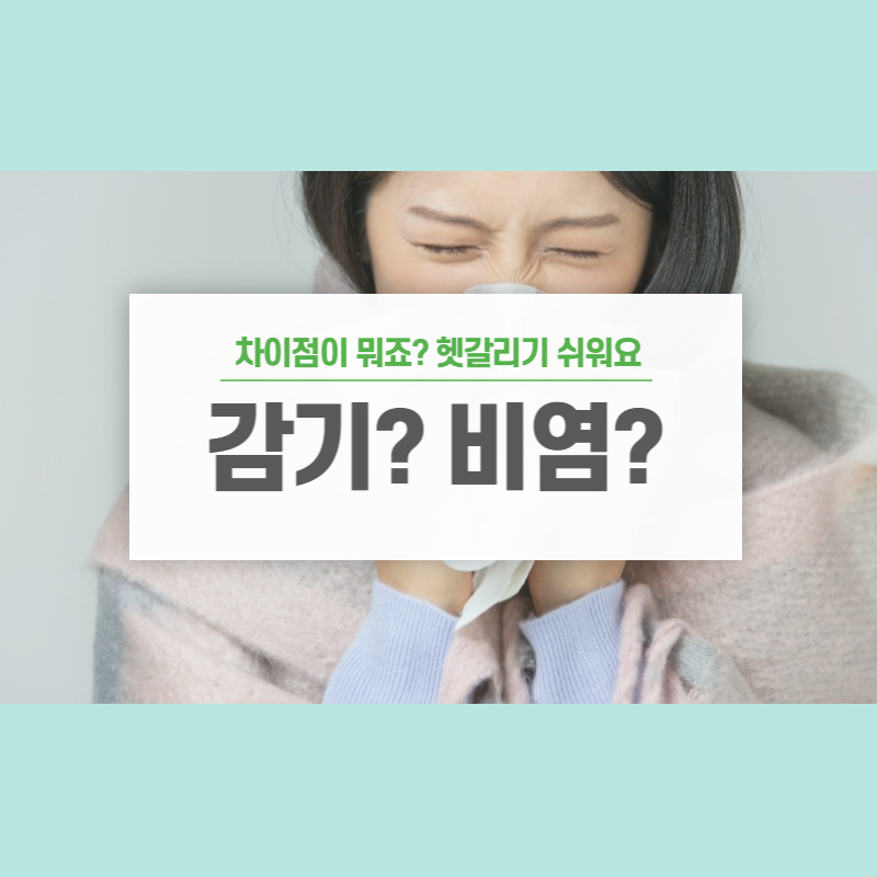 감기 비염 차이점
