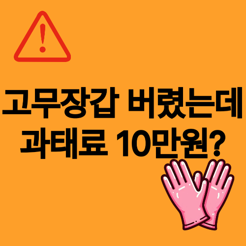 고무장갑 버렸는데 과태료 10만 원?(+고무장갑 분리수거, 재활용 분리수거)