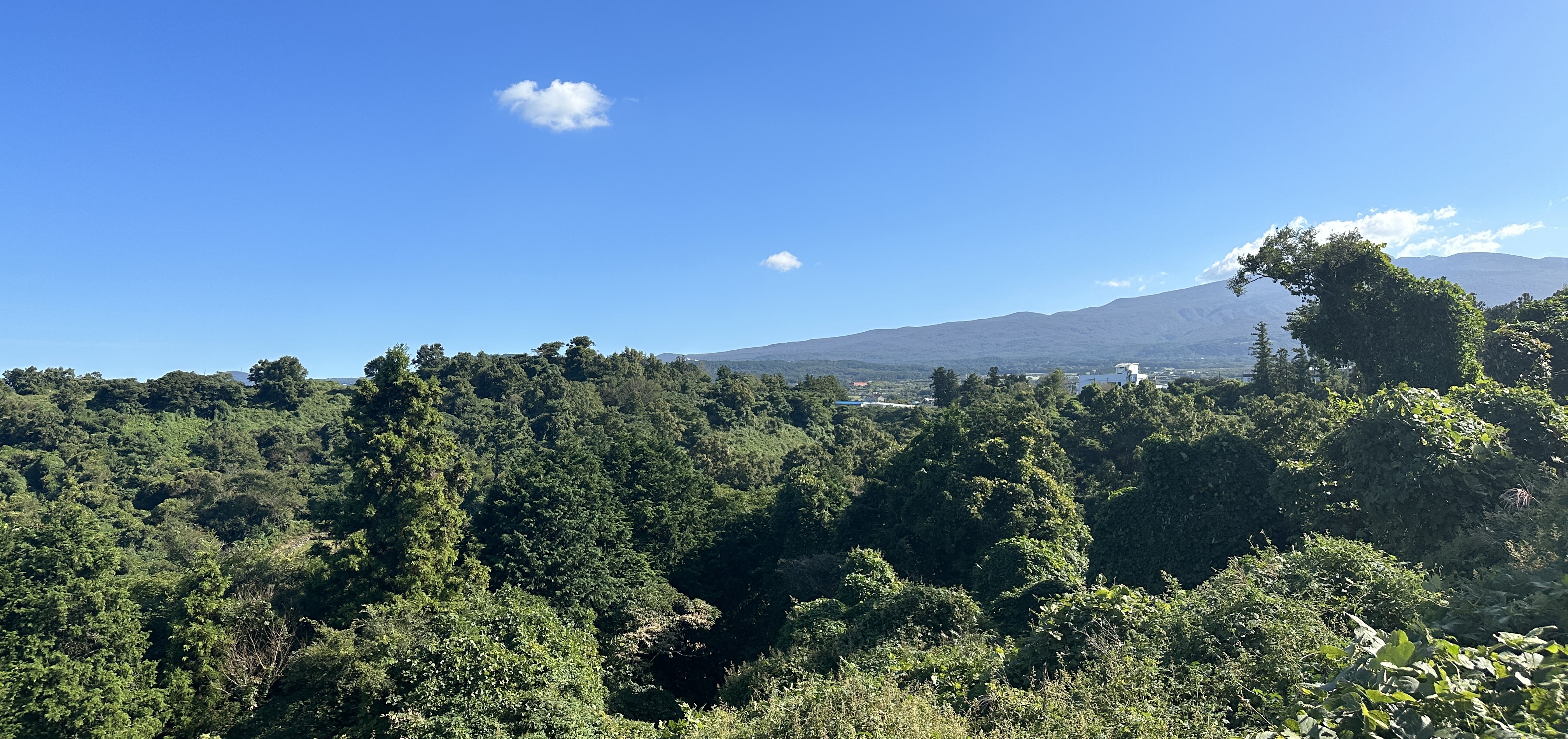 오드싱오름 산책로