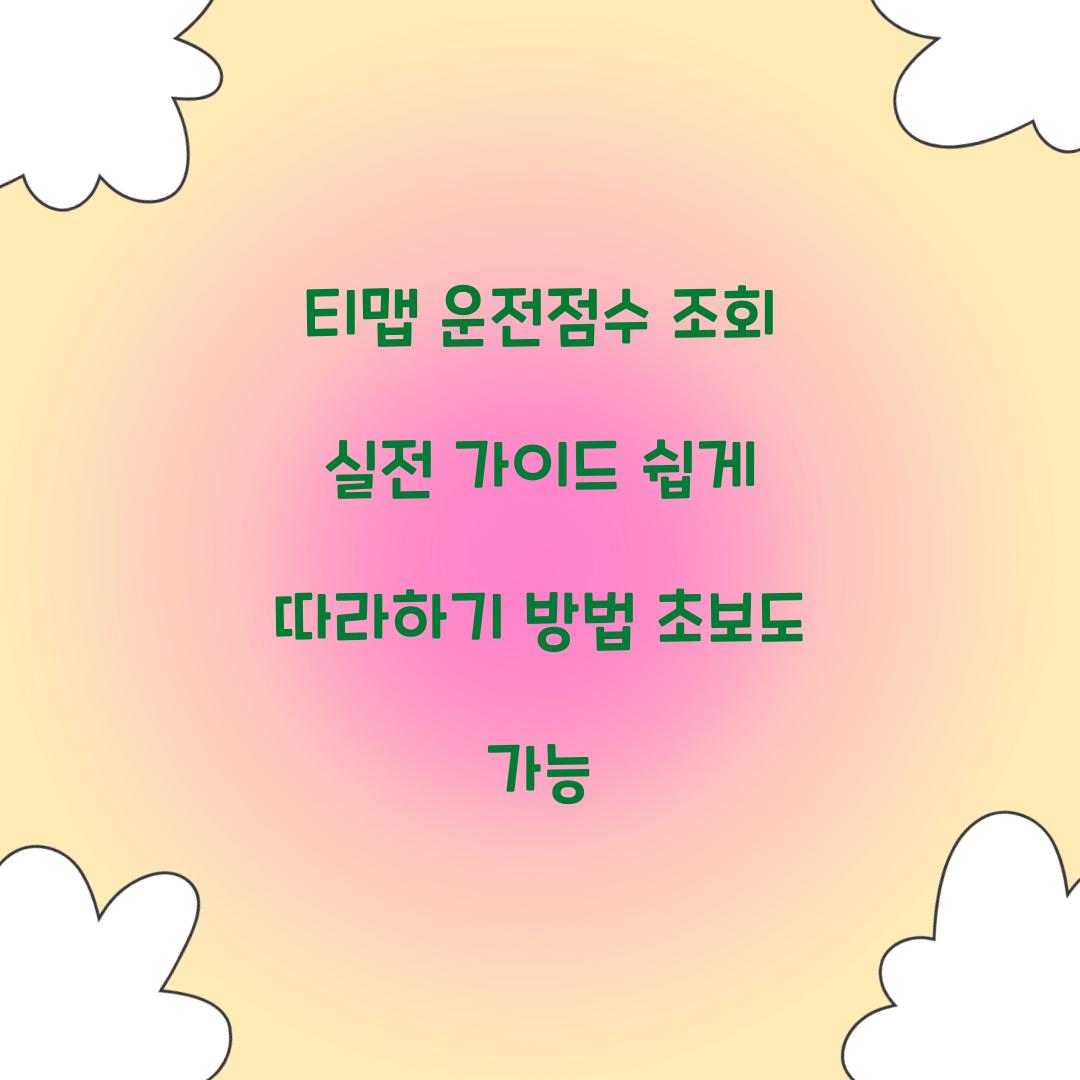 티맵 운전점수 조회