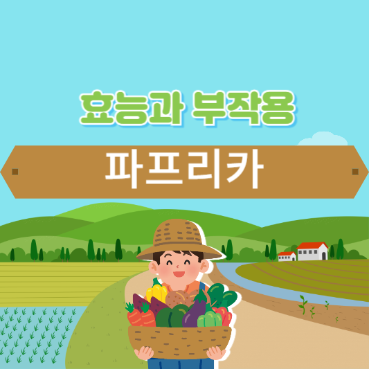 파프리카 효능과 부작용