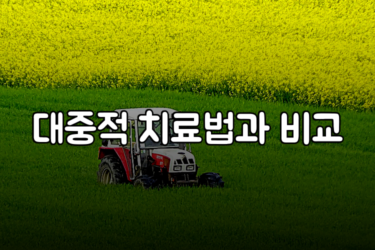 대중적 치료법과 비교