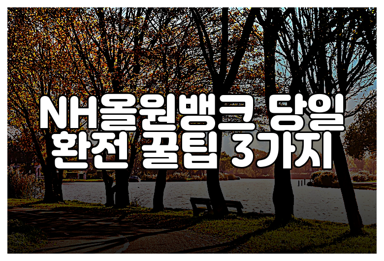 NH올원뱅크 당일 환전 꿀팁 3가지