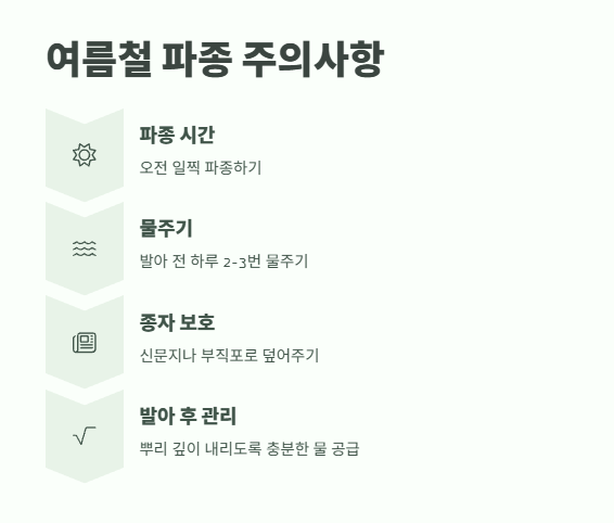 6월에 심는 밭작물 &amp;#124; 늦은 여름까지 수확하는 비법 4