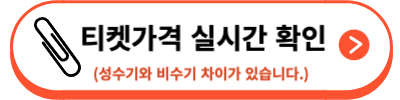 디즈니랜드 티켓