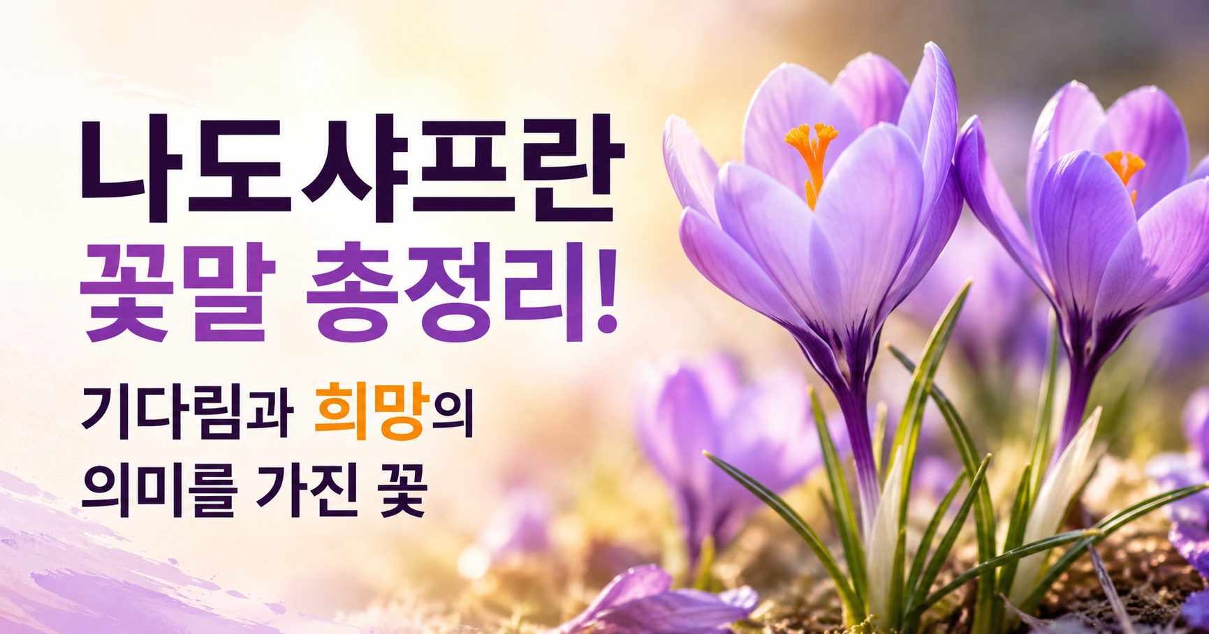 나도샤프란 꽃말
