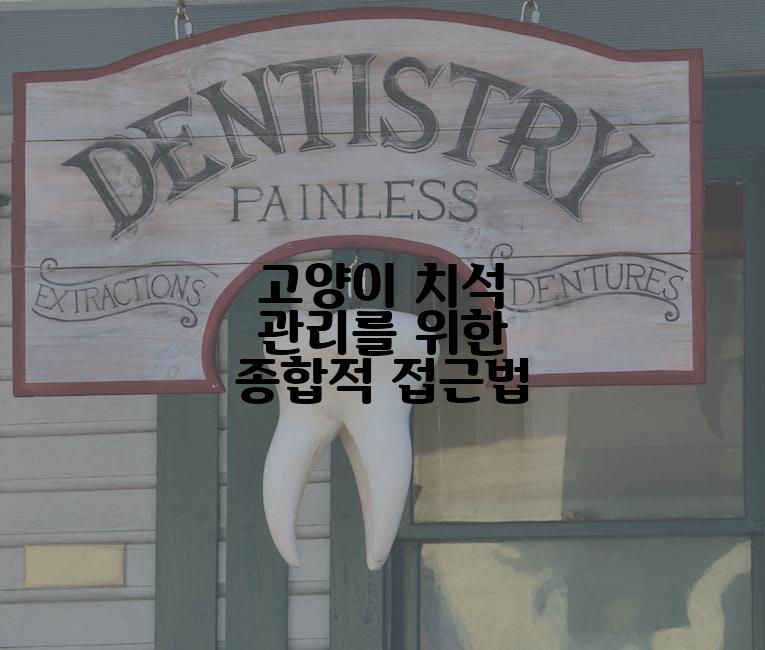 고양이 치석 관리를 위한 종합적 접근법