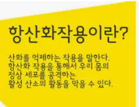 항산화작용