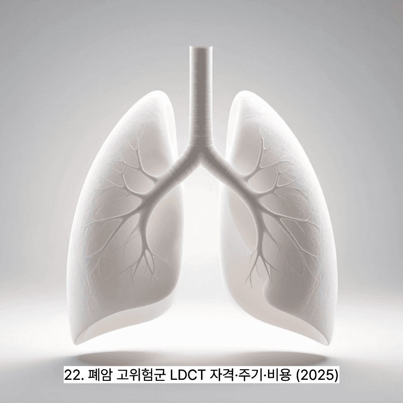 22. 폐암 고위험군 LDCT 자격&middot;주기&middot;비용 (2025)