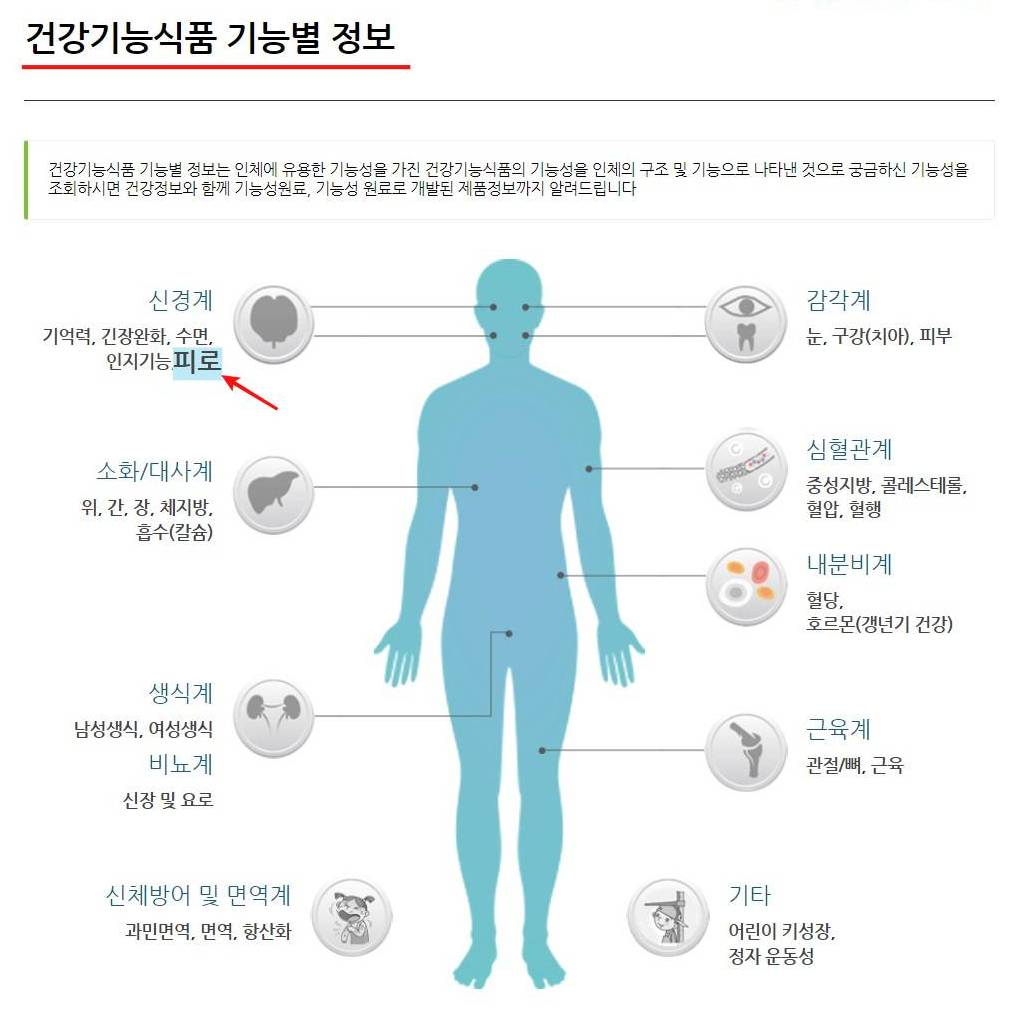 건강기능식품_기능별_정보