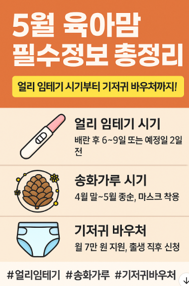 얼리테스트기 언제 쓸까? 5월 육아맘을 위한 실전 가이드
