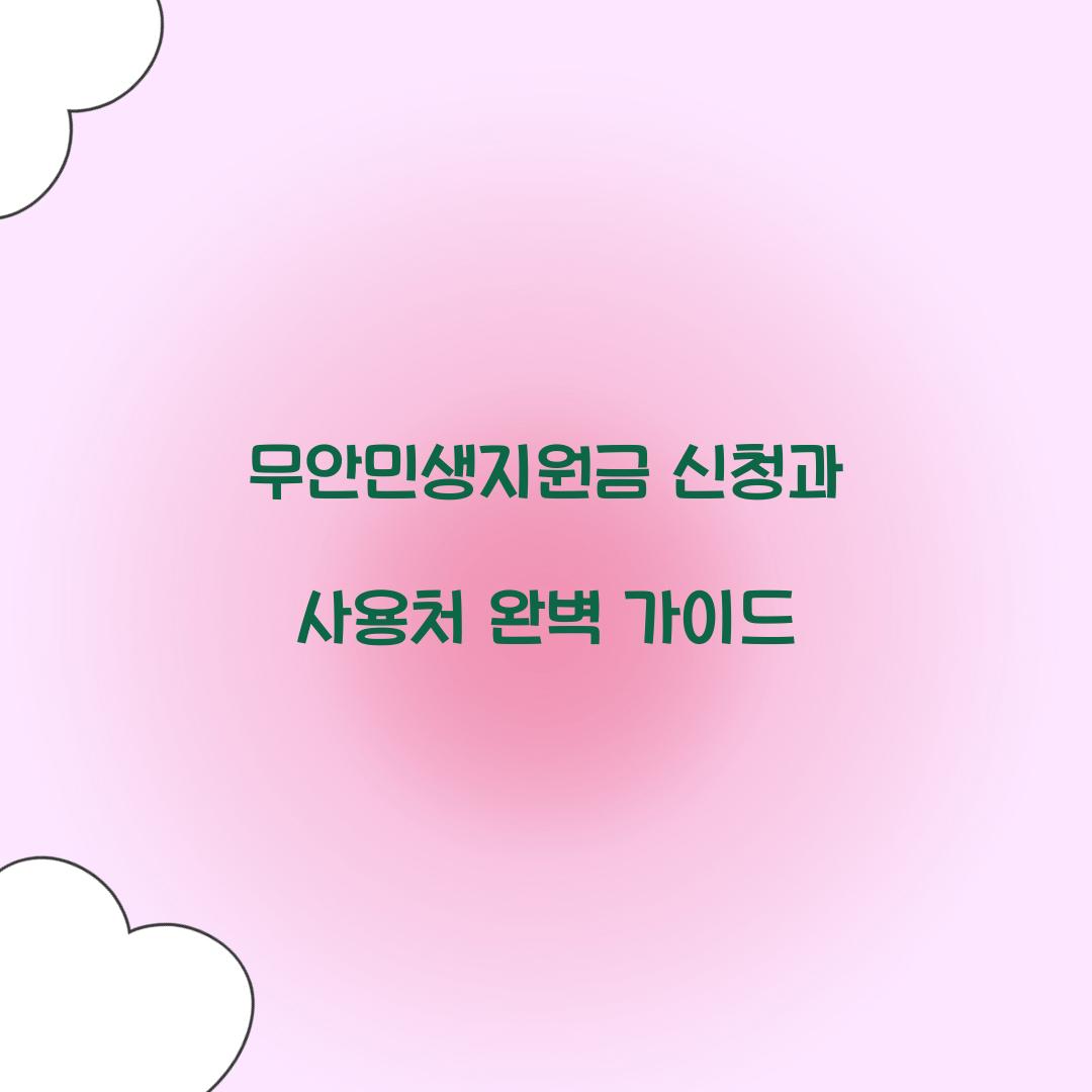 무안민생지원금