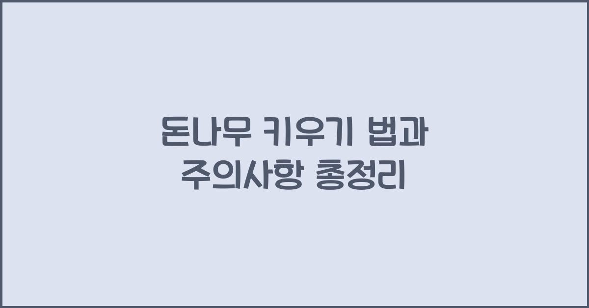 돈나무 키우기