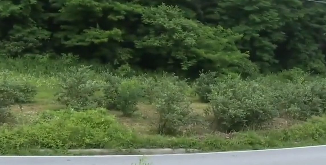 문진석 국회의원 프로필 나이 고향 학력 재산 지역구 &amp;#124; 문진석 농지법 위반 이유 상황