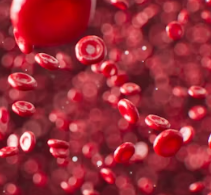 빈혈 증상 원인 치료 방법