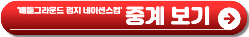 배틀그라운드 펍지 네이션스컵