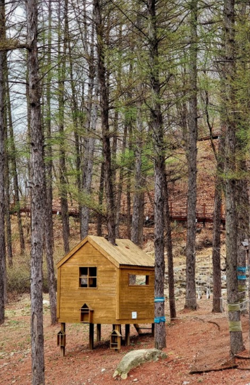 고대산 자연휴양림 사진