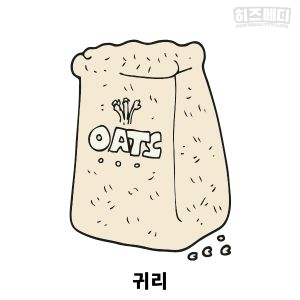 철분 많은 음식