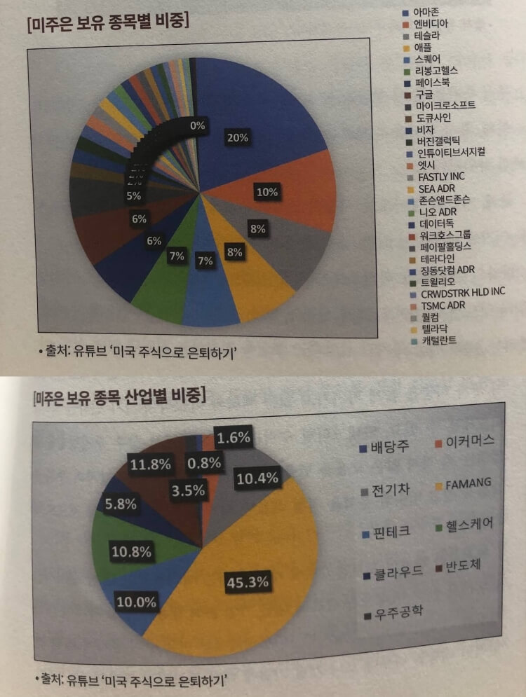 미주은 보유종목멸 비중