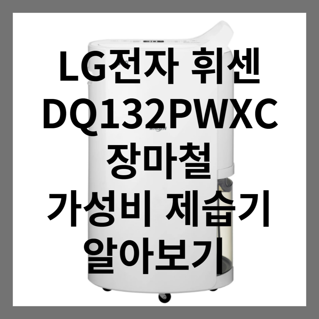 LG전자 휘센 DQ132PWXC 장마철 가성비 제습기