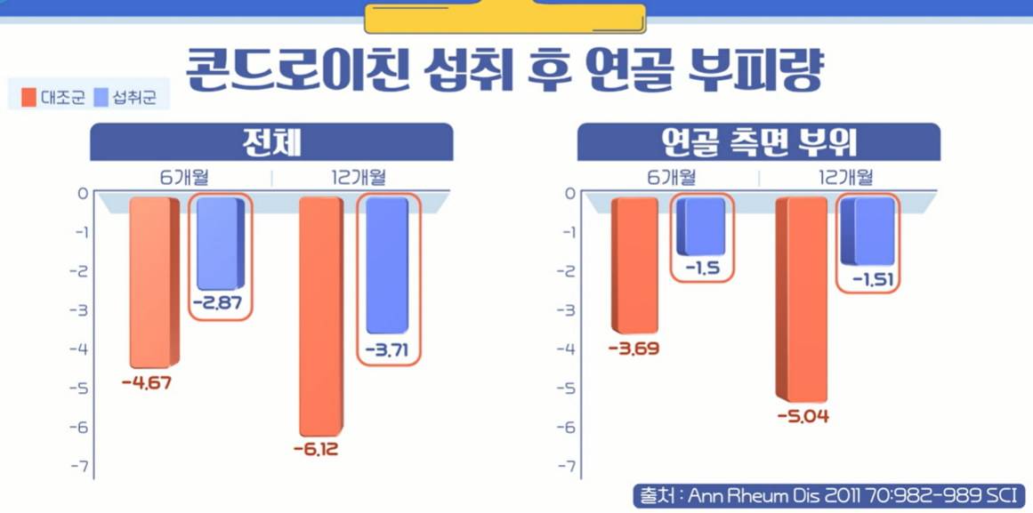 콘드로이친 효능