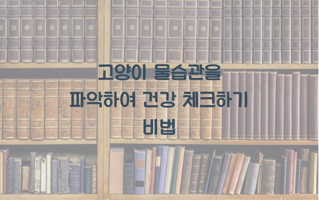 고양이 물습관을 파악하여 건강 체크하기