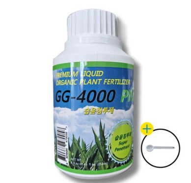 GG-4000